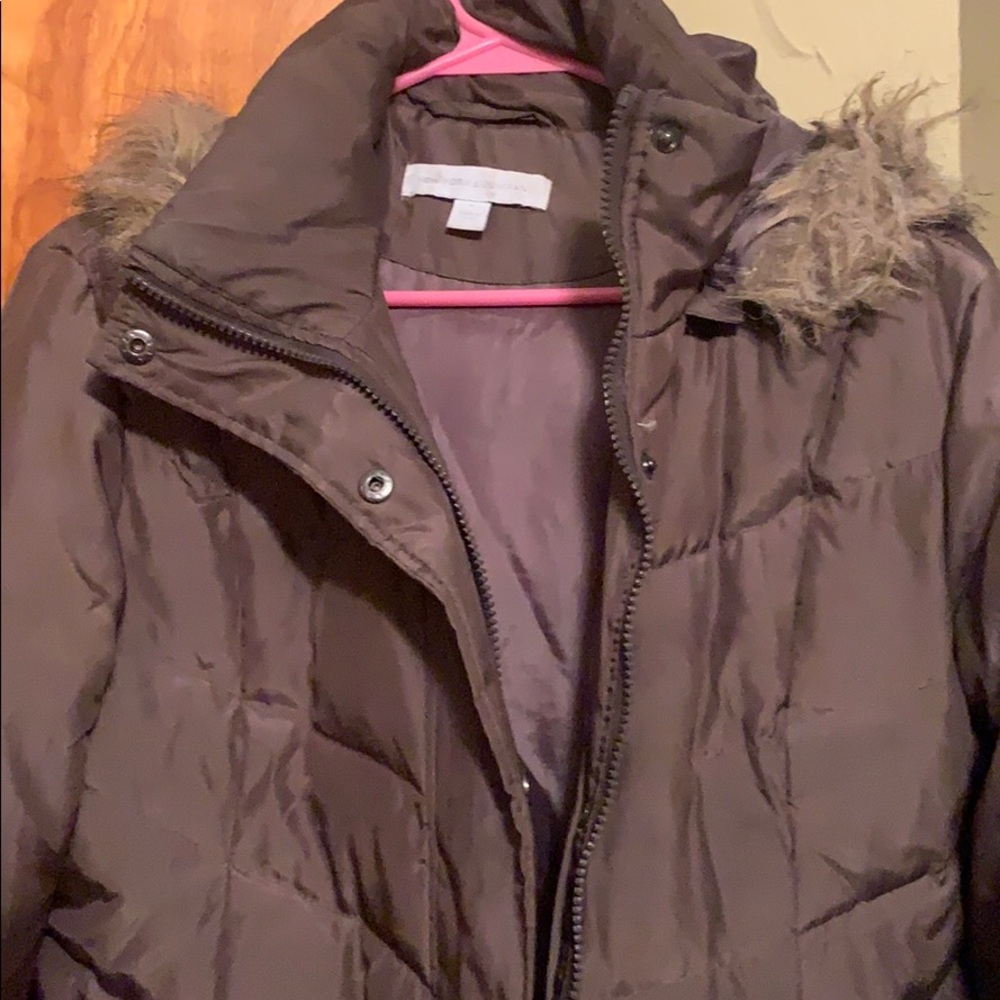 Brown Winter Jacket